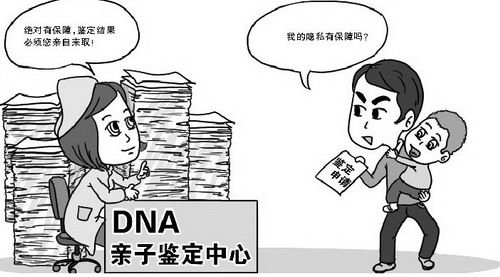 吉林省司法亲子鉴定具体流程,吉林省司法亲子鉴定机构电话地址查询 吉林省司法亲子鉴定具体流程,吉林省司法亲子鉴定机构电话地址查询